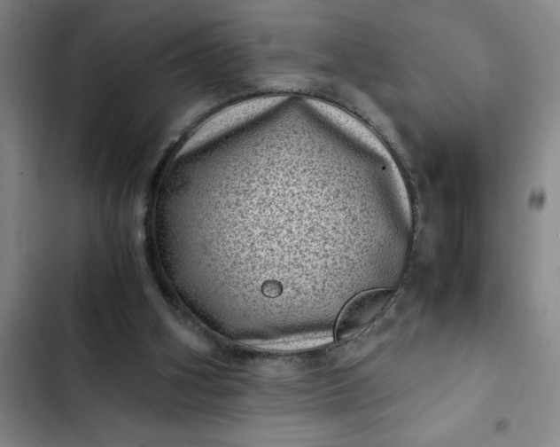 X0000102480106200808221716