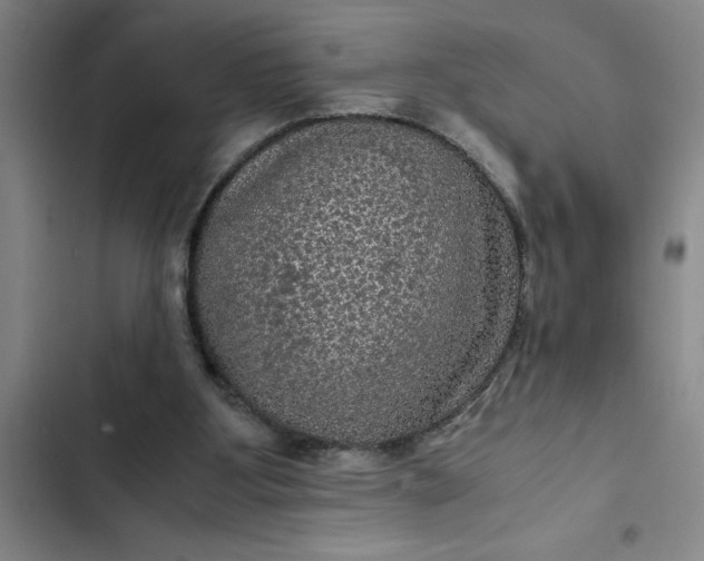 X0000102480107200808221716