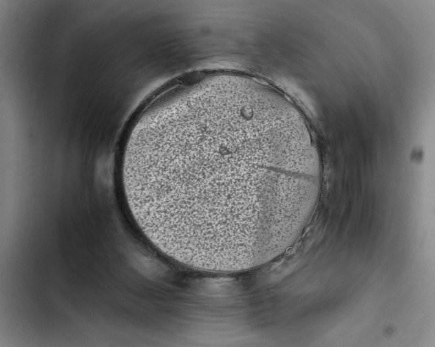 X0000102480108200808221716