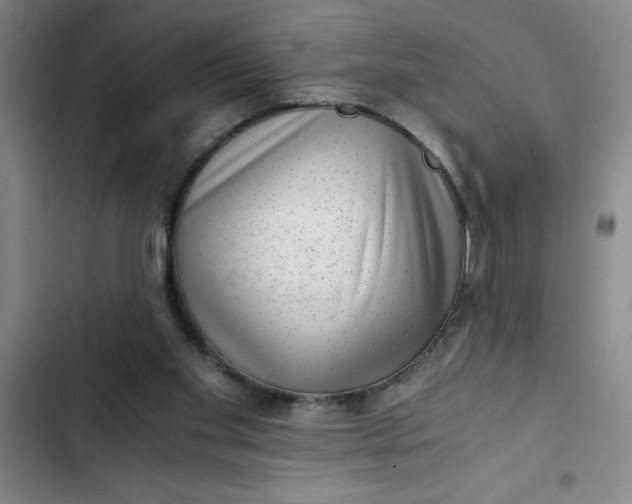 X0000102480109200808221716