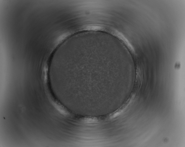 X0000102480110200808221716