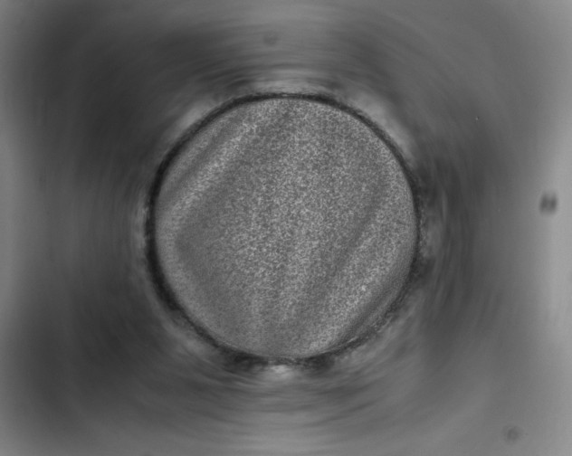 X0000102480111200808221716