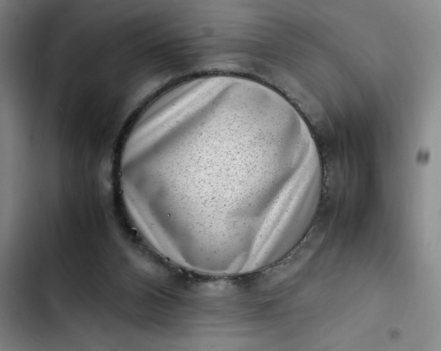 X0000102480112200808221716