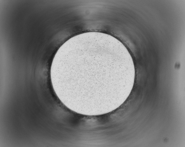 X0000102480113200808221716