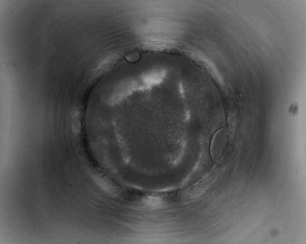 X0000102480114200808221716