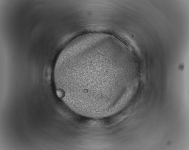 X0000102480115200808221716