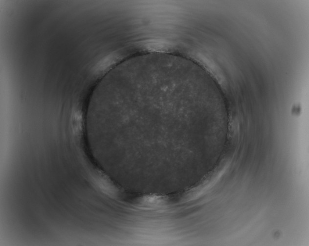 X0000102480117200808221716