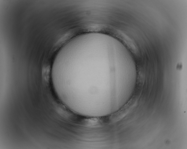 X0000102480118200808221716