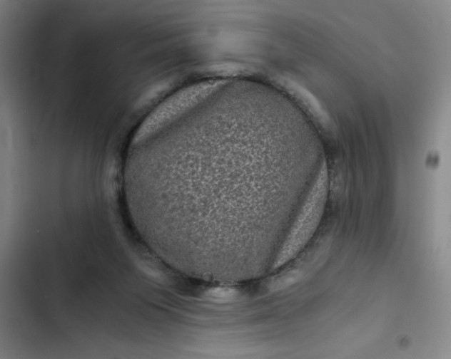 X0000102480119200808221716