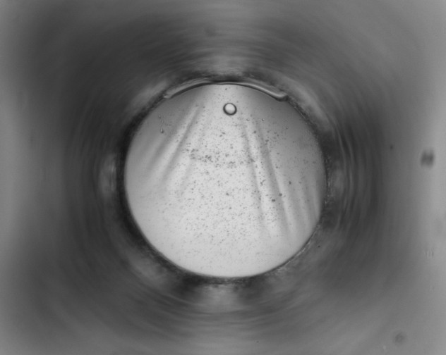 X0000102480120200808221716