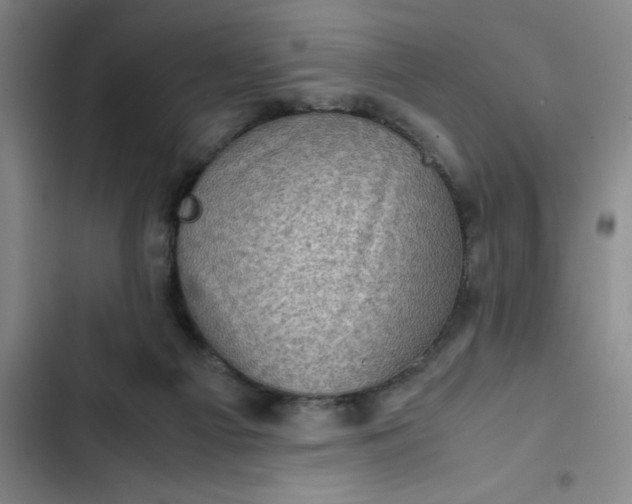 X0000102480121200808221716