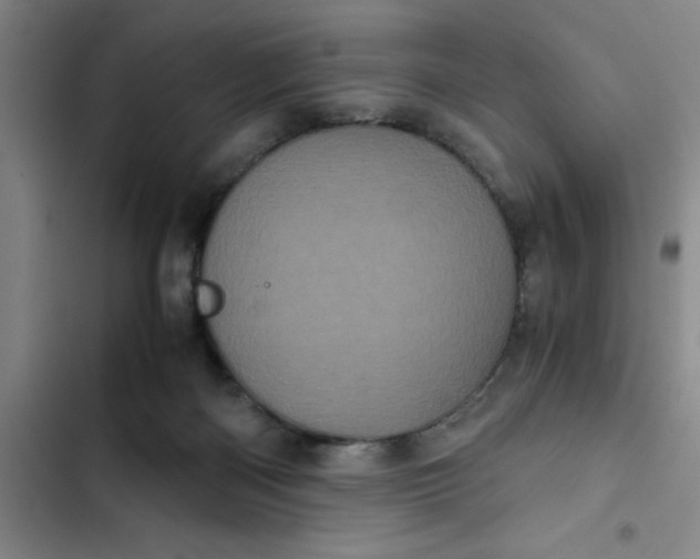 X0000102480122200808221716