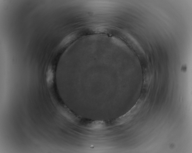 X0000102480124200808221716