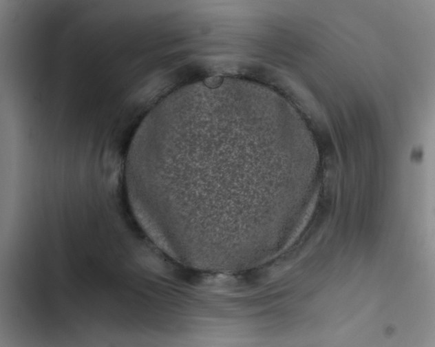 X0000102480125200808221716