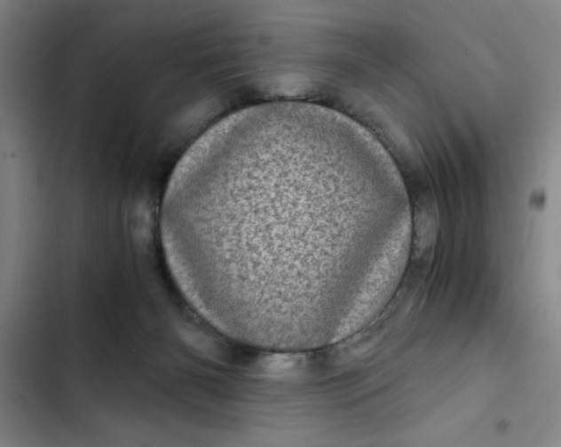 X0000102480126200808221716