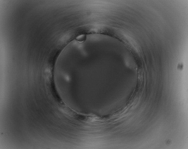 X0000102480127200808221716