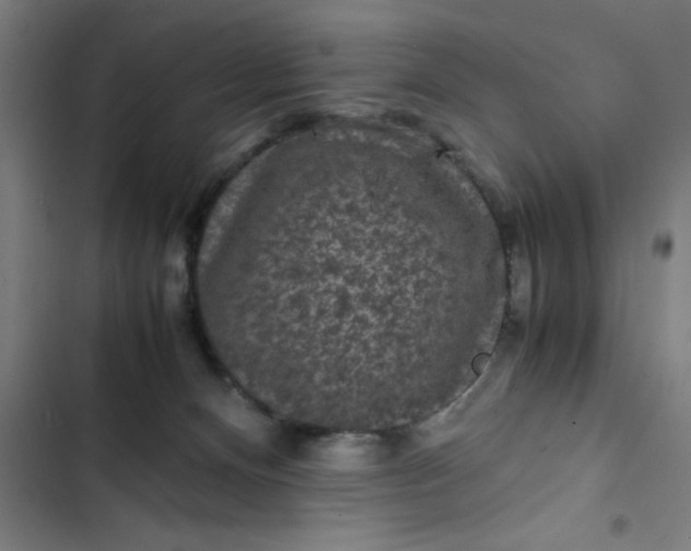 X0000102480128200808221716