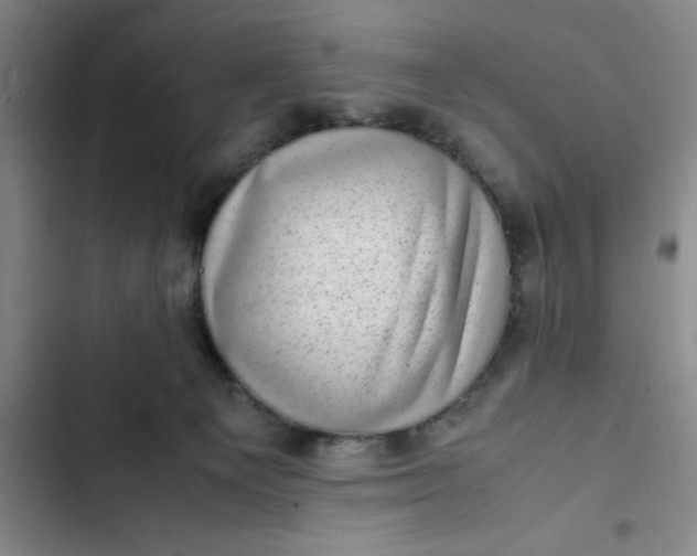 X0000102480129200808221716