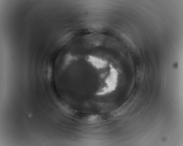 X0000102480130200808221716