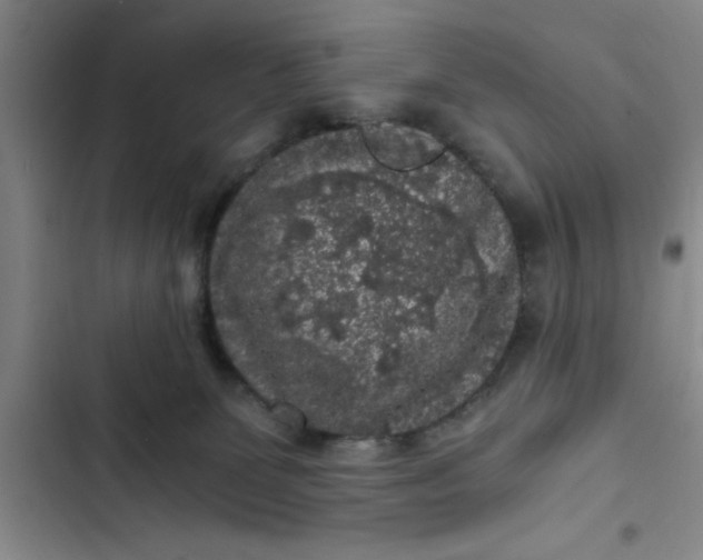 X0000102480131200808221716