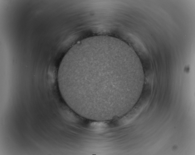 X0000102480133200808221716