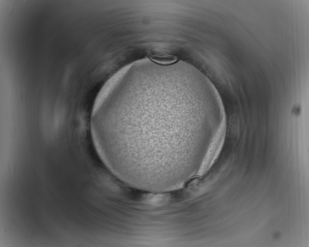 X0000102480135200808221716