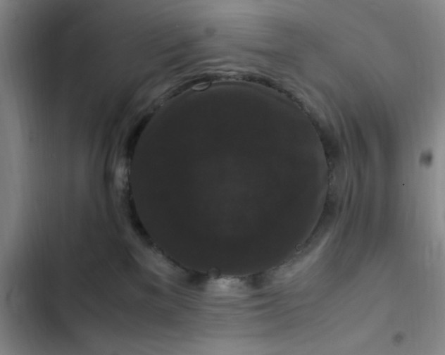 X0000102480137200808221716