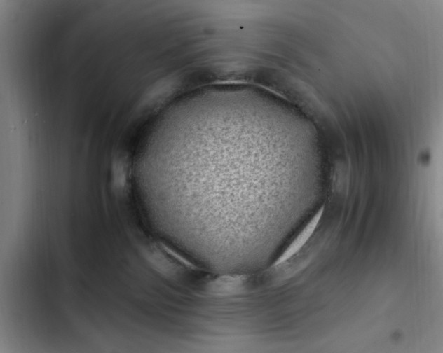 X0000102480138200808221716