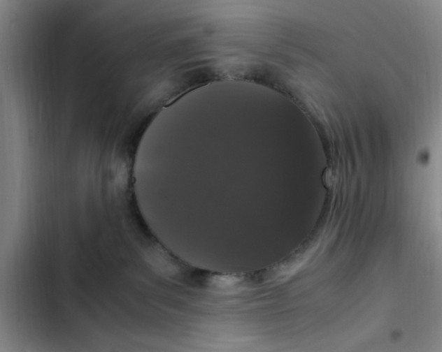 X0000102480139200808221716