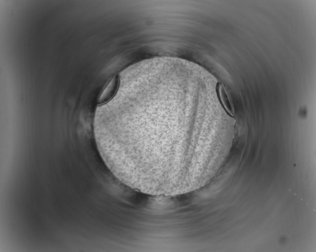 X0000102480141200808221716