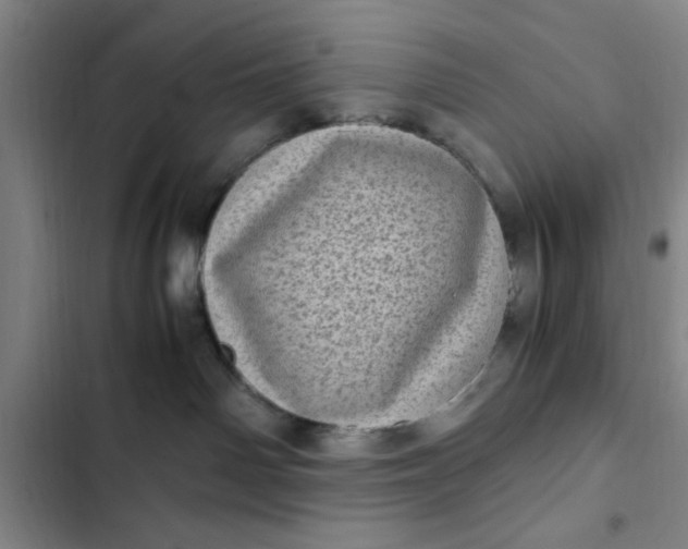 X0000102480142200808221716