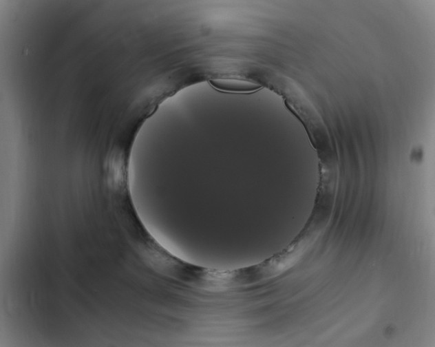 X0000102480143200808221716