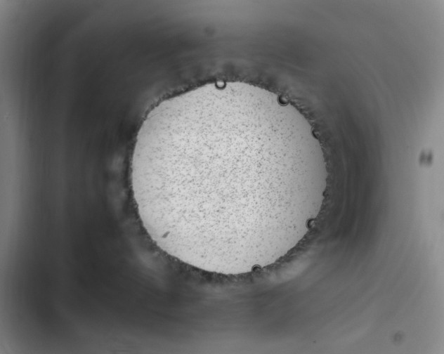 X0000102480144200808221716