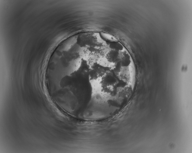 X0000102480145200808221715