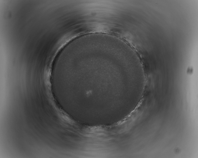 X0000102480146200808221715