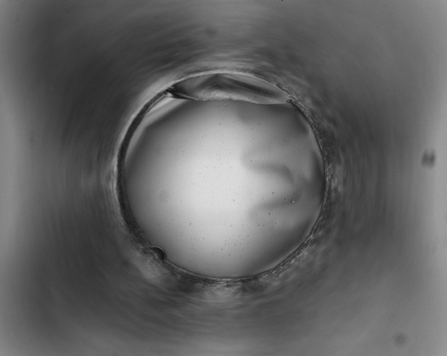 X0000102480148200808221715