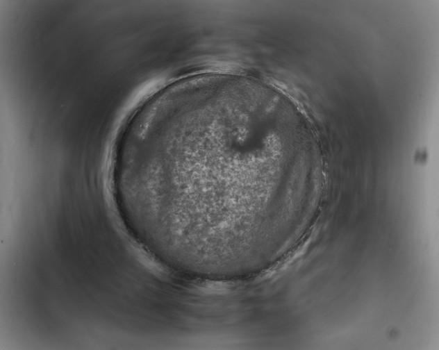 X0000102480149200808221715