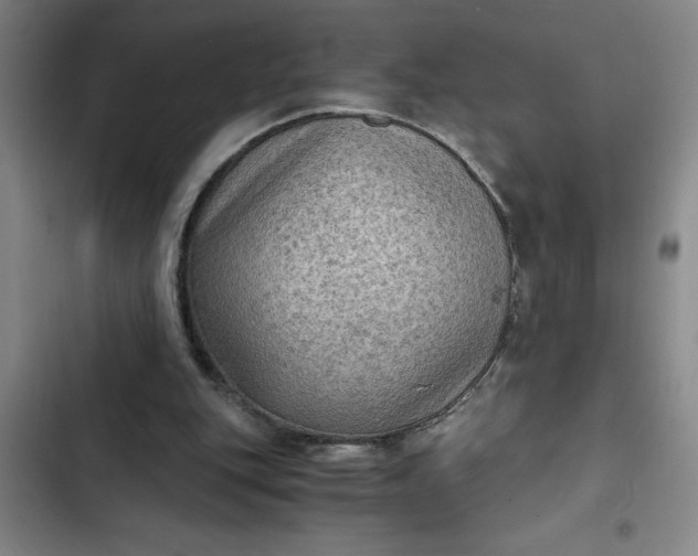 X0000102480151200808221715