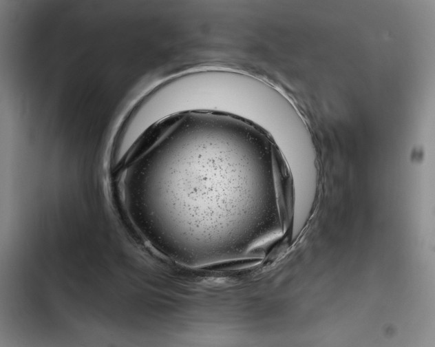 X0000102480152200808221715