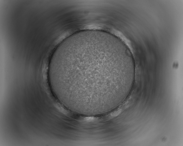 X0000102480153200808221715