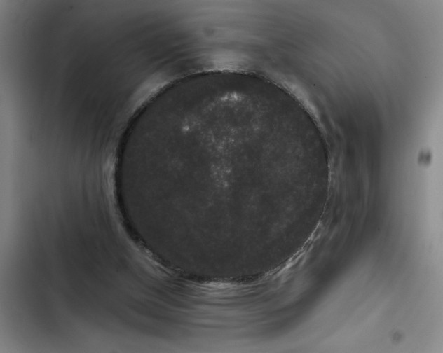 X0000102480154200808221715