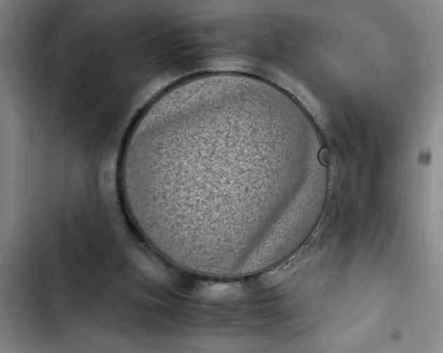 X0000102480155200808221715