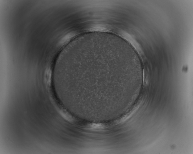 X0000102480157200808221715