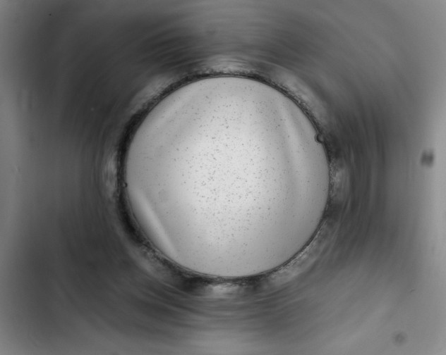 X0000102480158200808221715