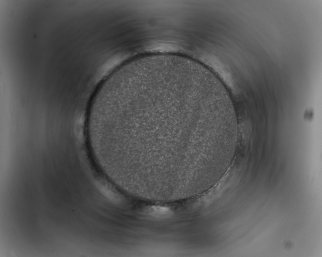 X0000102480159200808221715