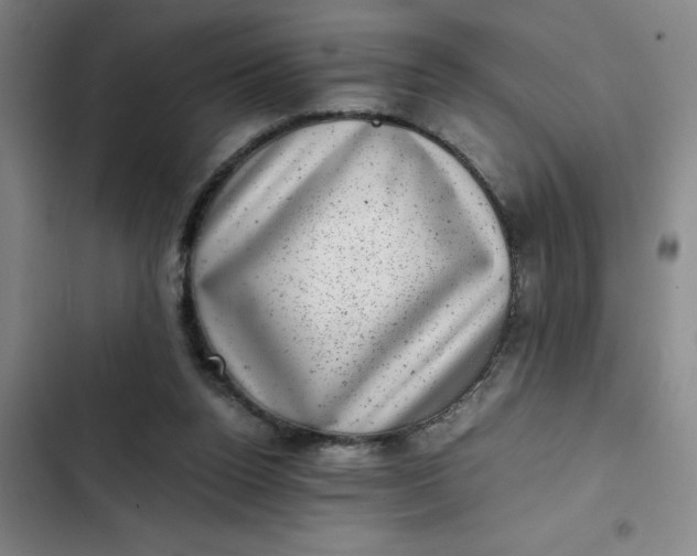 X0000102480160200808221715