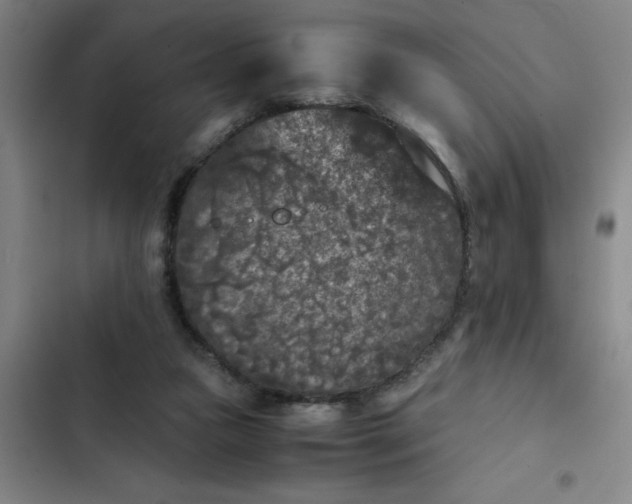 X0000102480161200808221715