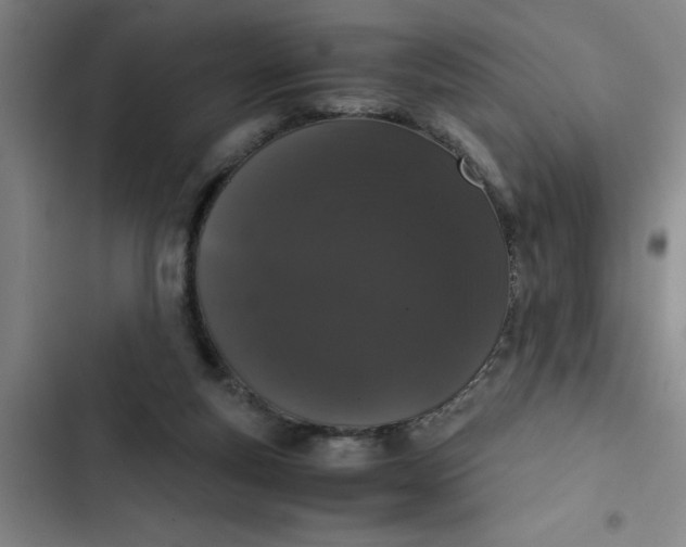 X0000102480163200808221715