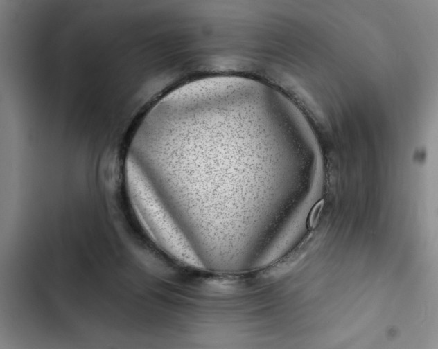 X0000102480164200808221715