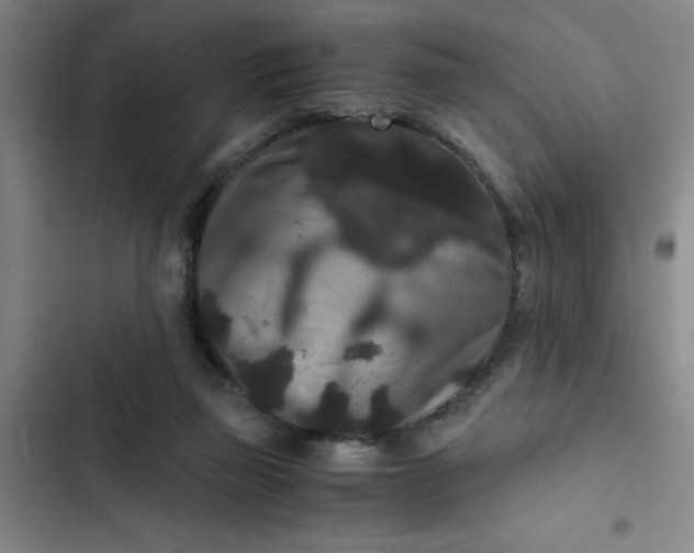 X0000102480165200808221715